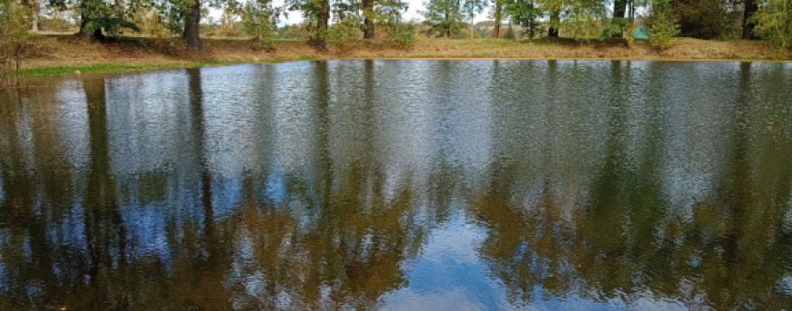 fotka 10 - Nad Strumykiem